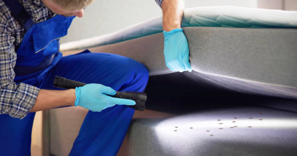 Best Pest Control Near Me  in North Hartsville, SC