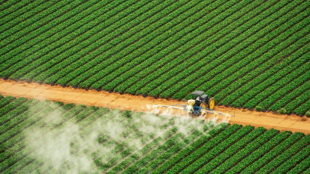 Best Pest Removal Services  in North Hartsville, SC