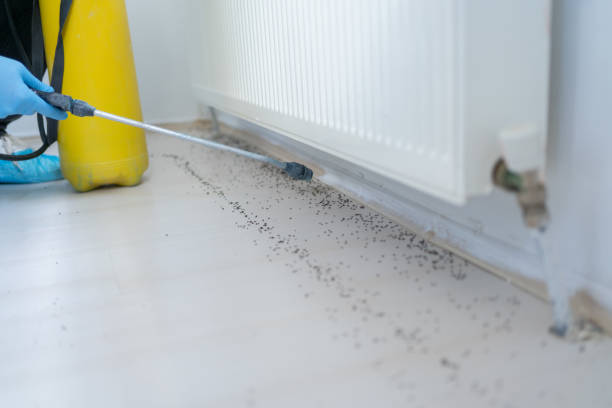 Best Pest Prevention Services  in North Hartsville, SC