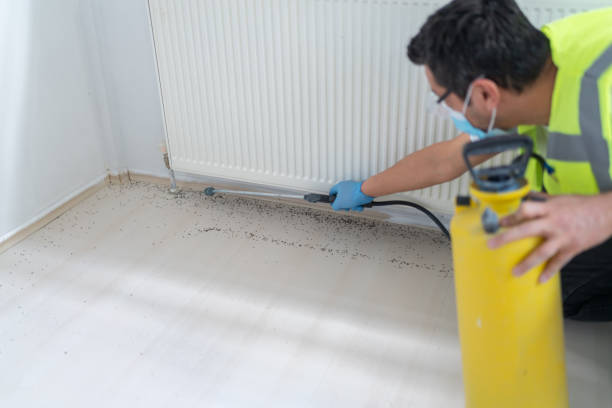 Best Local Pest Control Services  in North Hartsville, SC